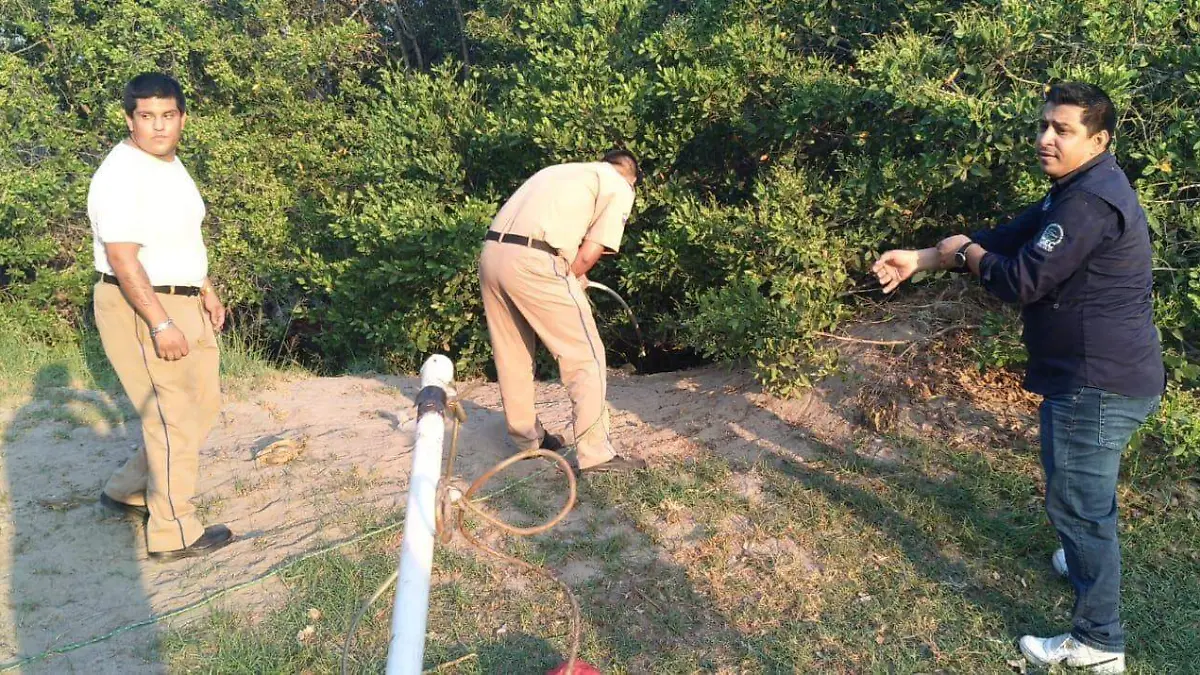 Se busca salvaguardar a las personas y proteger también a la especie